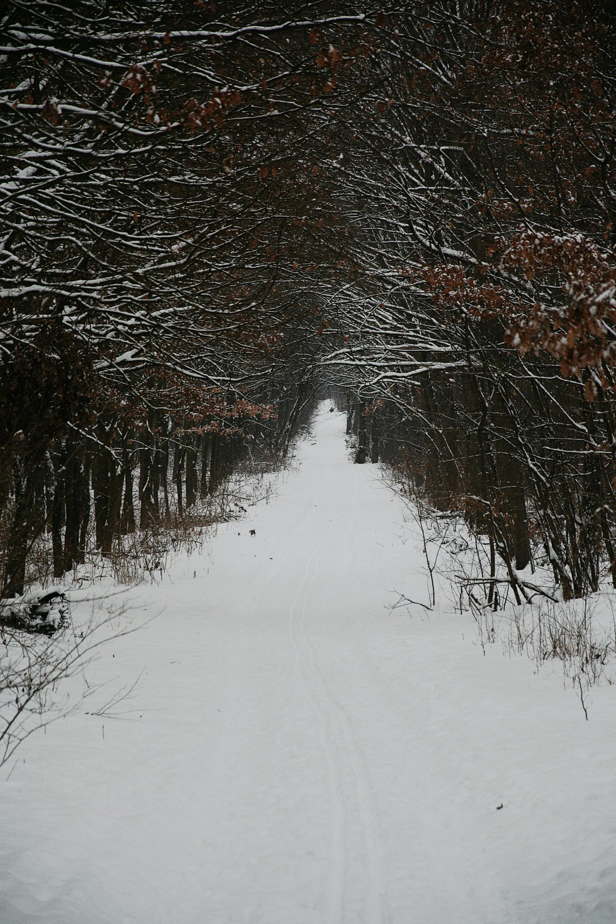 Winter Moments