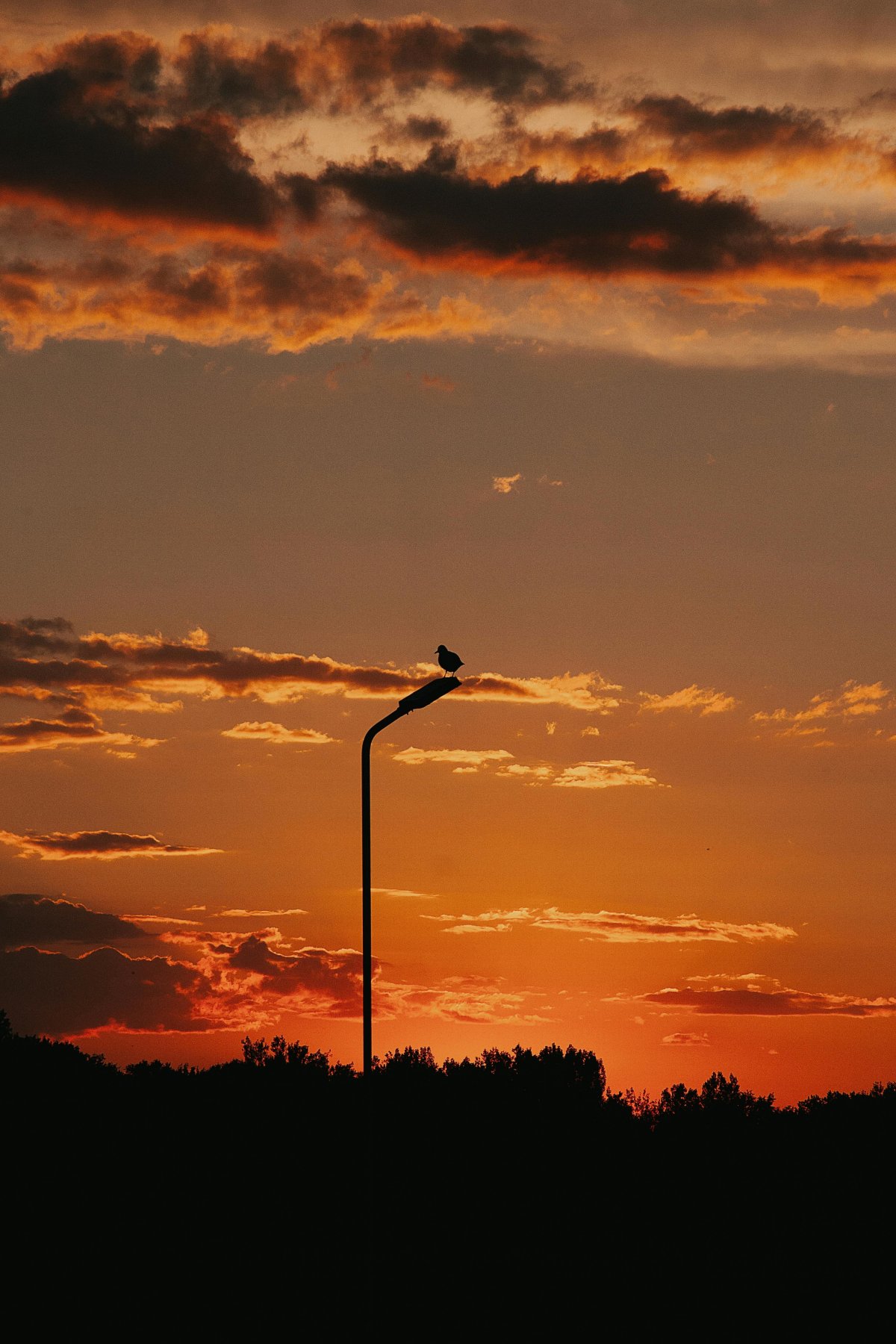 Painting the sky in warm shades of gold